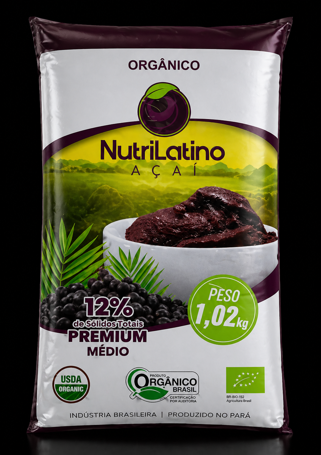 Açaí Puro 12% Premium Médio